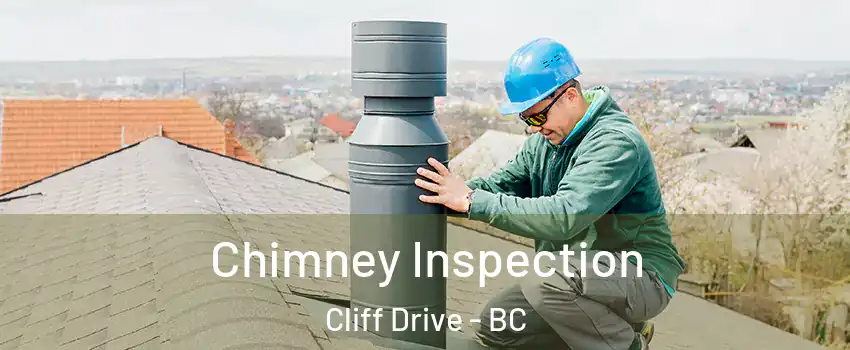 Chimney Inspection Cliff Drive - BC