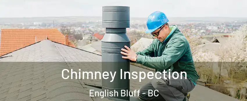 Chimney Inspection English Bluff - BC