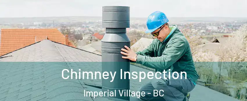 Chimney Inspection Imperial Village - BC