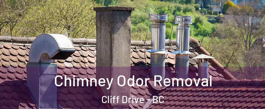 Chimney Odor Removal Cliff Drive - BC