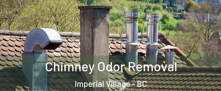 Chimney Odor Removal Imperial Village - BC