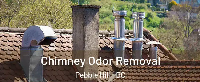 Chimney Odor Removal Pebble Hill - BC