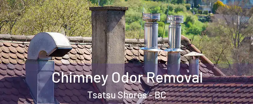 Chimney Odor Removal Tsatsu Shores - BC