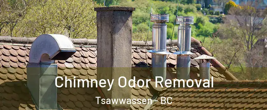 Chimney Odor Removal Tsawwassen - BC