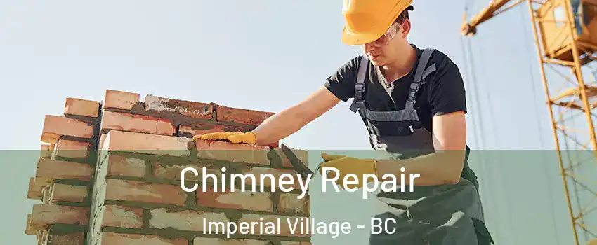  Chimney Repair Imperial Village - BC