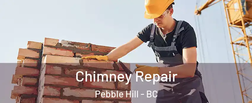 Chimney Repair Pebble Hill - BC