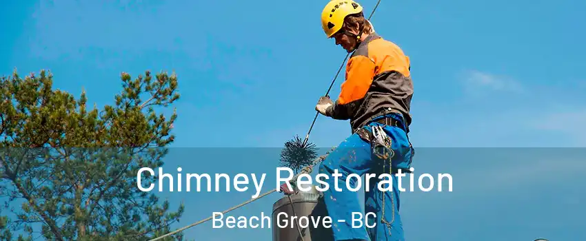 Chimney Restoration Beach Grove - BC