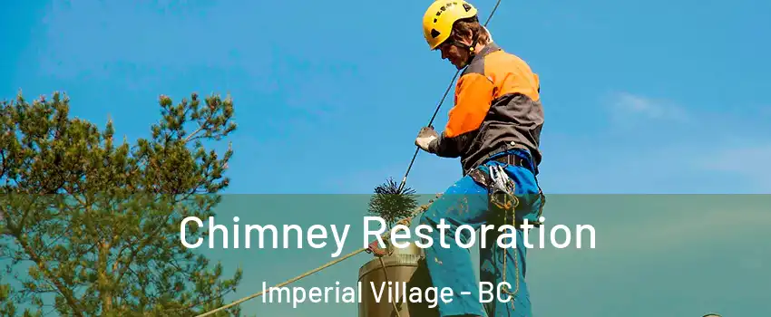 Chimney Restoration Imperial Village - BC