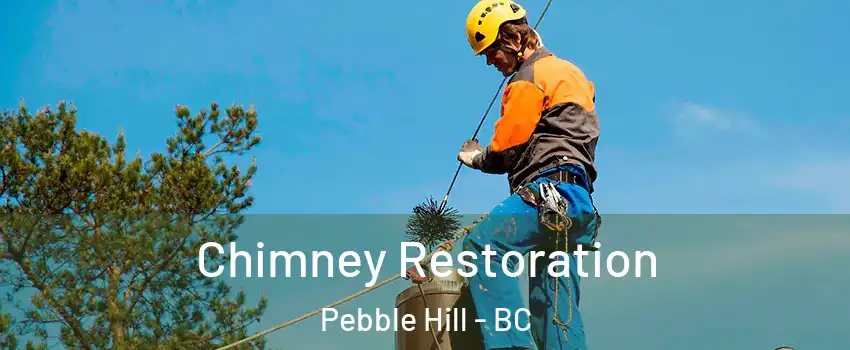 Chimney Restoration Pebble Hill - BC