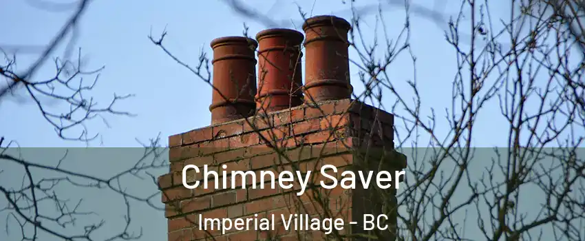 Chimney Saver Imperial Village - BC