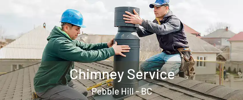 Chimney Service Pebble Hill - BC