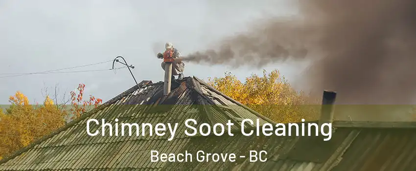 Chimney Soot Cleaning Beach Grove - BC