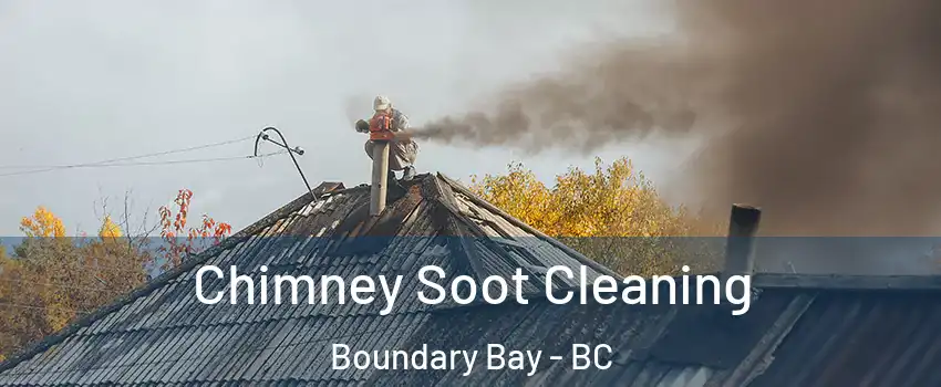  Chimney Soot Cleaning Boundary Bay - BC