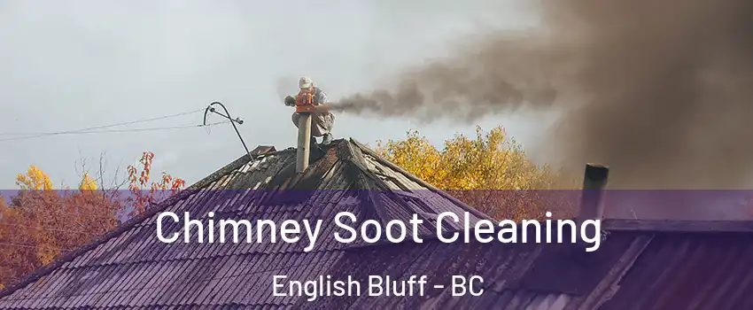 Chimney Soot Cleaning English Bluff - BC