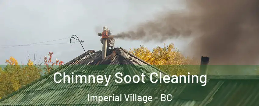Chimney Soot Cleaning Imperial Village - BC