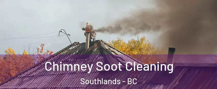 Chimney Soot Cleaning Southlands - BC