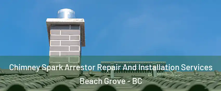  Chimney Spark Arrestor Repair And Installation Services Beach Grove - BC
