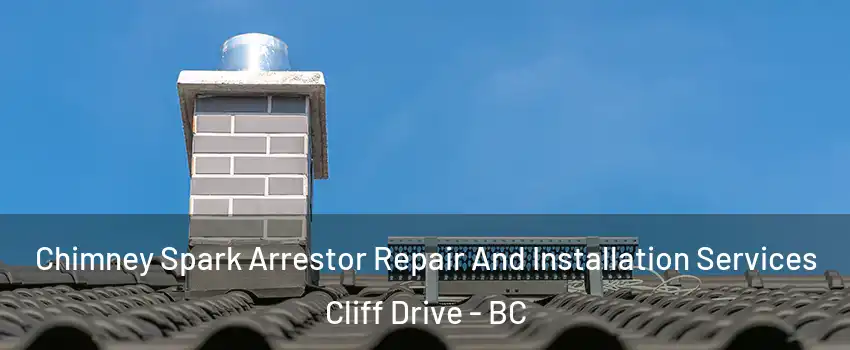 Chimney Spark Arrestor Repair And Installation Services Cliff Drive - BC