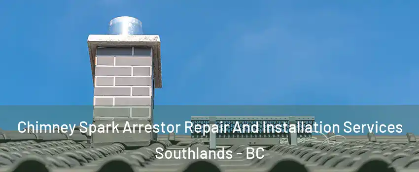 Chimney Spark Arrestor Repair And Installation Services Southlands - BC