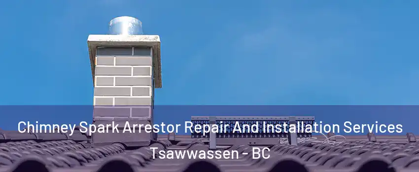 Chimney Spark Arrestor Repair And Installation Services Tsawwassen - BC
