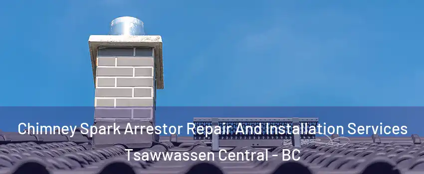Chimney Spark Arrestor Repair And Installation Services Tsawwassen Central - BC