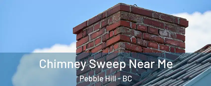 Chimney Sweep Near Me Pebble Hill - BC