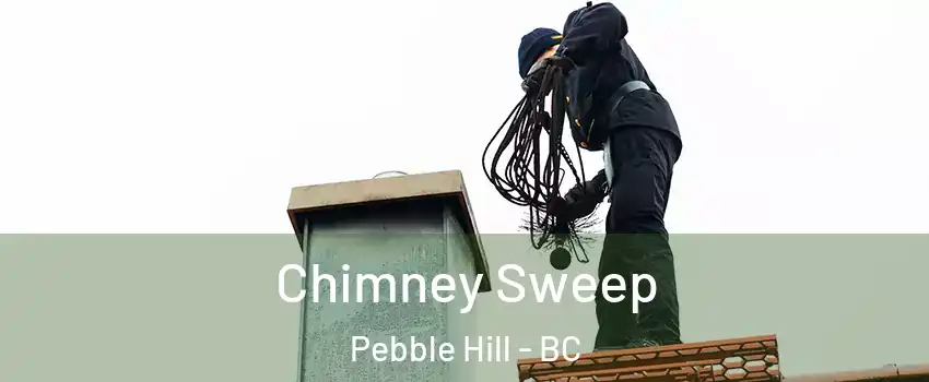  Chimney Sweep Pebble Hill - BC