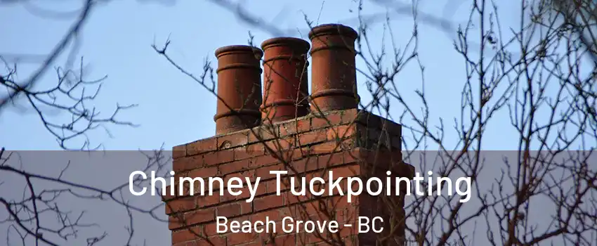 Chimney Tuckpointing Beach Grove - BC