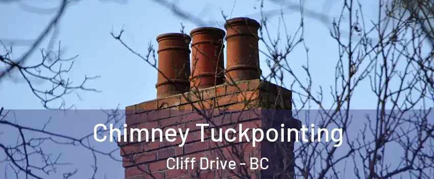 Chimney Tuckpointing Cliff Drive - BC