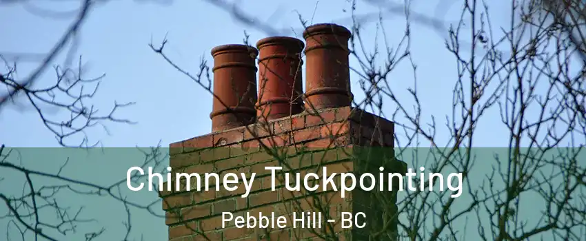Chimney Tuckpointing Pebble Hill - BC