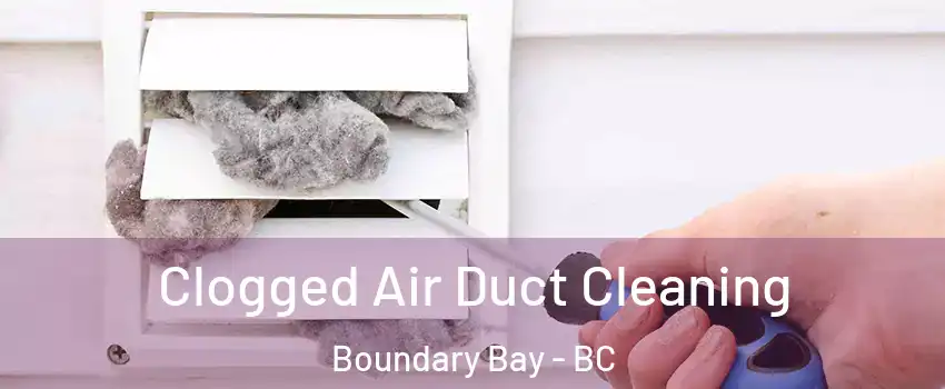  Clogged Air Duct Cleaning Boundary Bay - BC