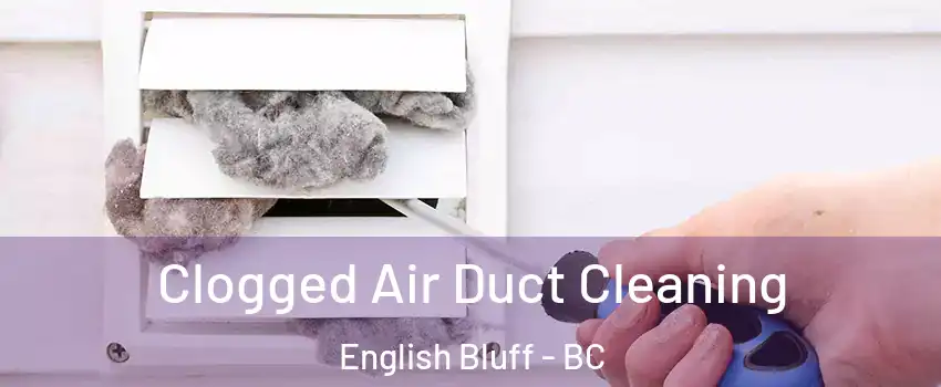 Clogged Air Duct Cleaning English Bluff - BC