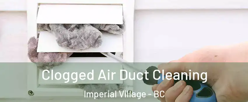 Clogged Air Duct Cleaning Imperial Village - BC