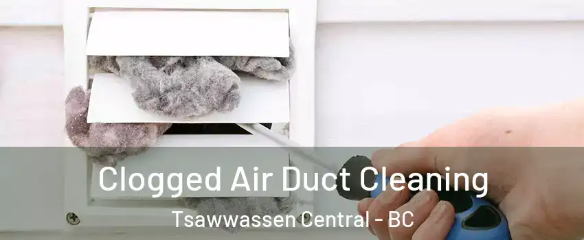 Clogged Air Duct Cleaning Tsawwassen Central - BC