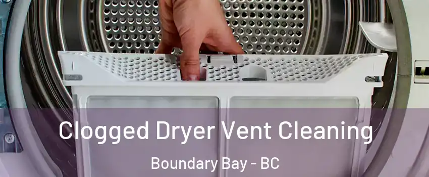Clogged Dryer Vent Cleaning Boundary Bay - BC