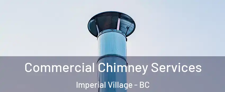  Commercial Chimney Services Imperial Village - BC