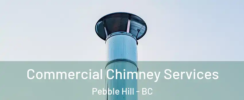 Commercial Chimney Services Pebble Hill - BC