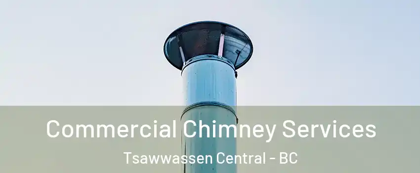  Commercial Chimney Services Tsawwassen Central - BC
