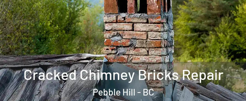  Cracked Chimney Bricks Repair Pebble Hill - BC