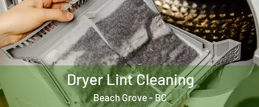 Dryer Lint Cleaning Beach Grove - BC