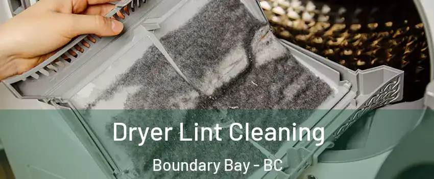 Dryer Lint Cleaning Boundary Bay - BC