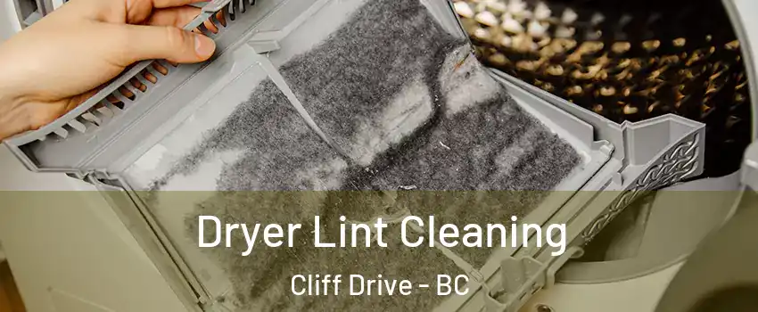 Dryer Lint Cleaning Cliff Drive - BC