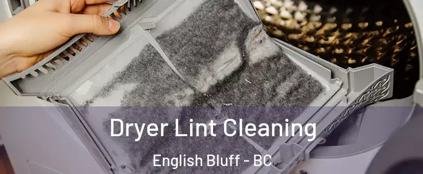 Dryer Lint Cleaning English Bluff - BC