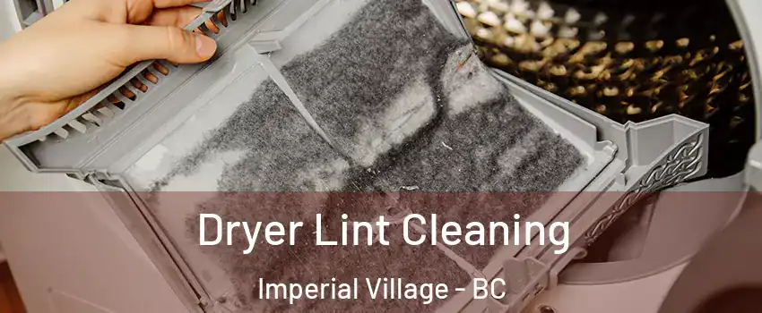 Dryer Lint Cleaning Imperial Village - BC