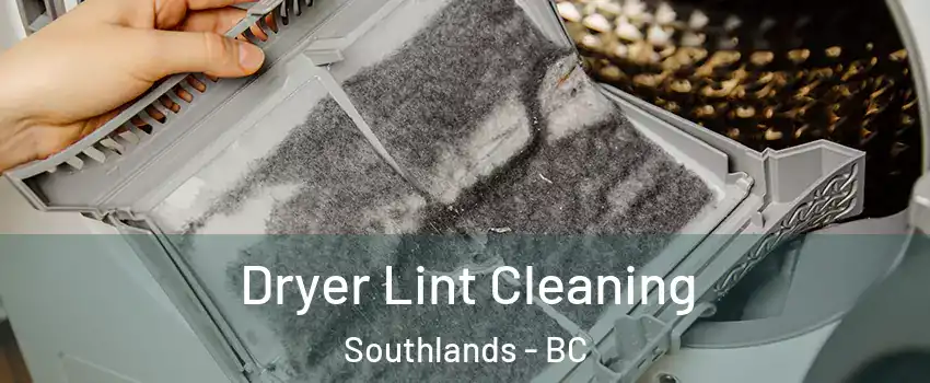 Dryer Lint Cleaning Southlands - BC
