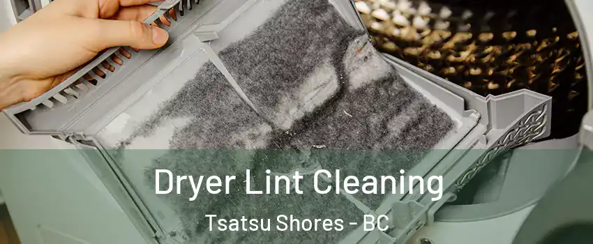 Dryer Lint Cleaning Tsatsu Shores - BC