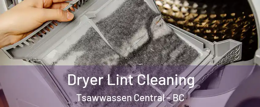  Dryer Lint Cleaning Tsawwassen Central - BC