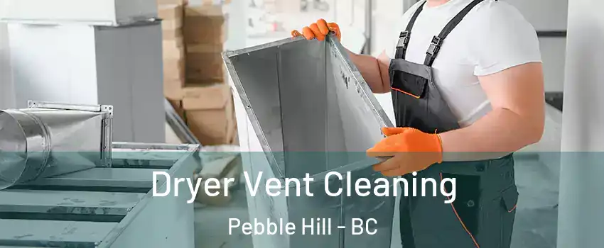 Dryer Vent Cleaning Pebble Hill - BC