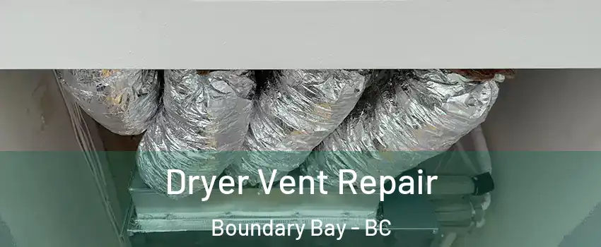 Dryer Vent Repair Boundary Bay - BC