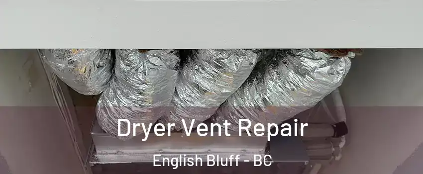 Dryer Vent Repair English Bluff - BC